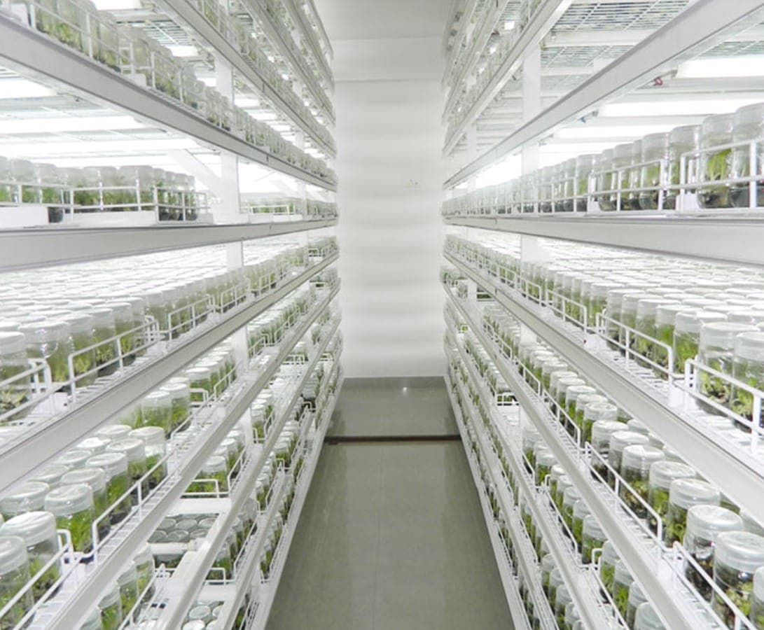 Kumudvati Biotech laboratory infrastructure